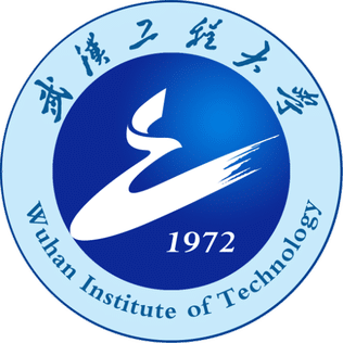 Wuhan Institute of Technology