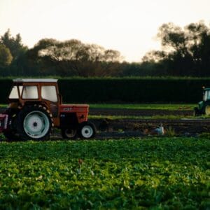 phd food security