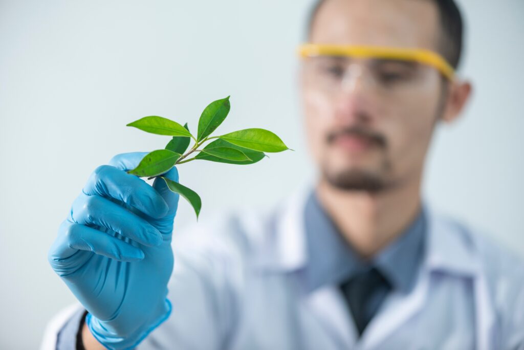 A student conducting a research to write an academic paper